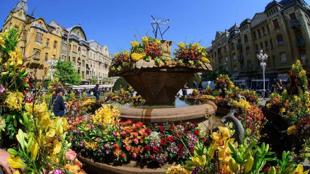Rox Central Apartments Тімішоара Екстер'єр фото